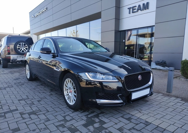 Jaguar XF cena 99900 przebieg: 155587, rok produkcji 2018 z Radzyń Podlaski małe 742